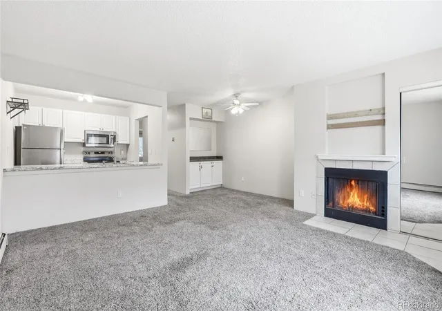 532-oakwood-dr-d105-castle-rock-co-80104/hzid_d125ed67