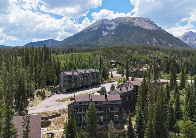 10000-ryan-gulch-rd-g106-silverthorne-co-80498/hzid_0a8782e1