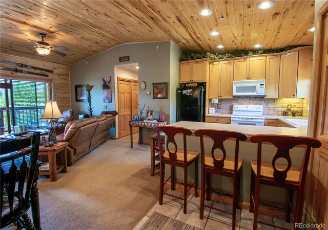 205-bella-vista-ct-311-grand-lake-co-80447/hzid_a825093f