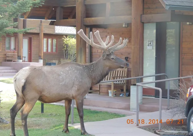 1565-hwy-66-49-estes-park-co-80517/hzid_c659e7fc