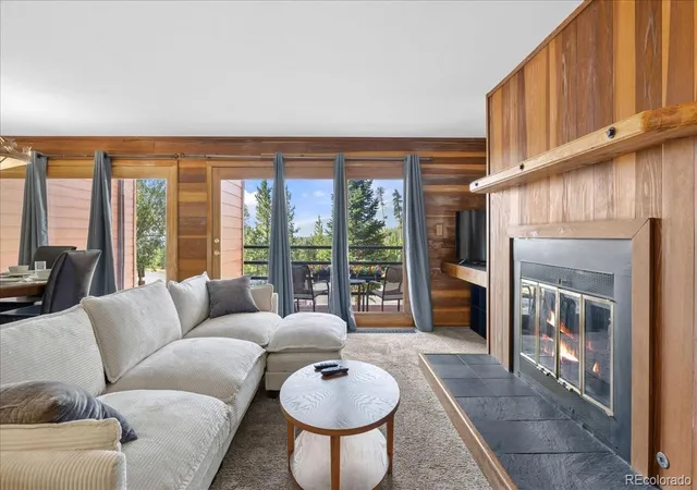 91300-ryan-gulch-rd-91301-silverthorne-co-80498/hzid_a380ee8d