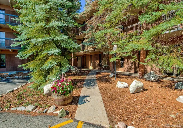 222-creekside-dr-317-frisco-co-80443/hzid_3c079ede