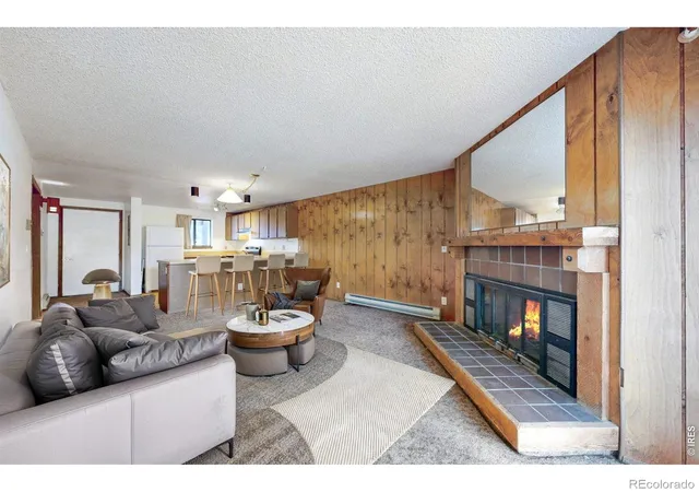 1730-raven-ave-a-1-estes-park-co-80517/hzid_8dea3cae