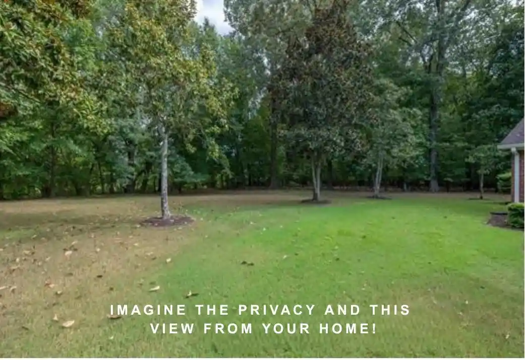 1097-oak-timber-cir-64-collierville-tn-38017/hzid_2b19a1e6