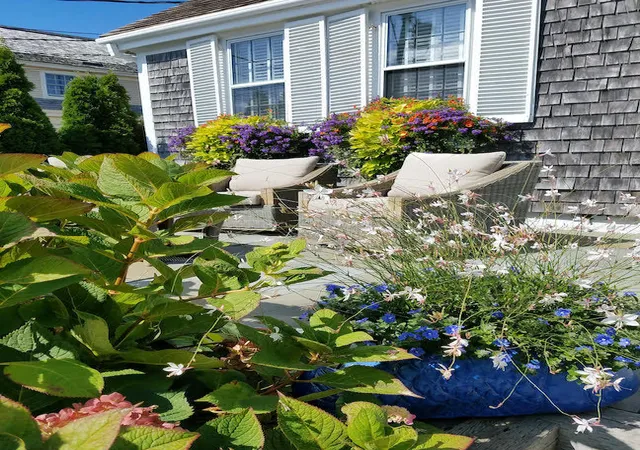 54-commercial-st-unit-6-provincetown-ma-02657/hzid_56cdc25c