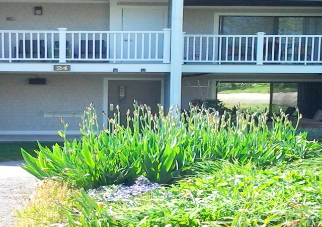 24-old-colony-wy-apt-19-orleans-ma-02653/hzid_c4ef57e8