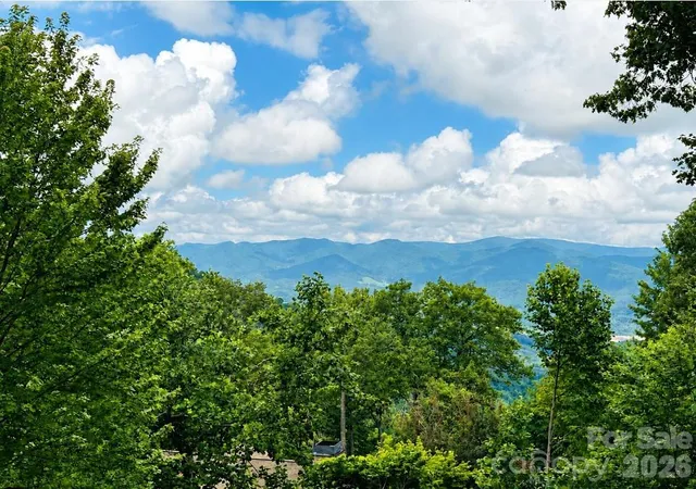 10-stoney-falls-loop-4-203-burnsville-nc-28714/hzid_55296565