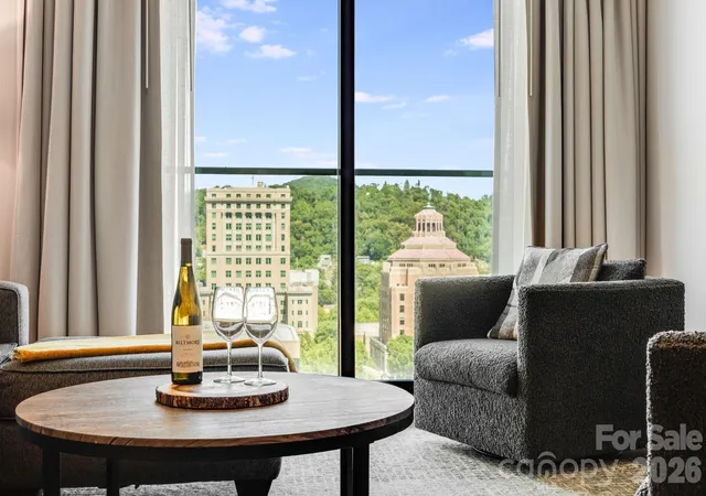 7-patton-ave-1006-asheville-nc-28801/hzid_dc7a243f