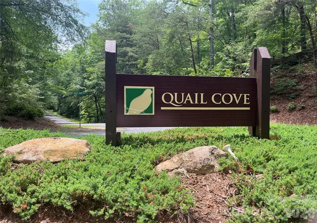 155-quail-cove-blvd-1608-lake-lure-nc-28746/hzid_80882f91