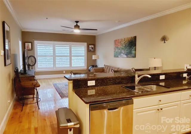 155-s-lexington-ave-203-asheville-nc-28801/hzid_76a9a715