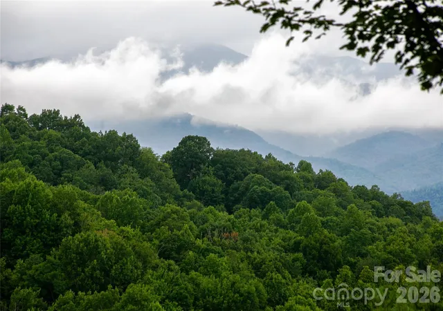 264-tinequa-dr-brevard-nc-28712/hzid_faaf1094