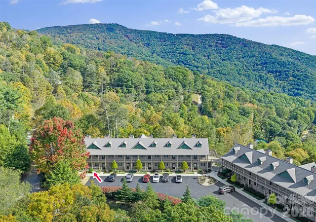 2521-wolf-laurel-rd-101-mars-hill-nc-28754/hzid_3c59c504