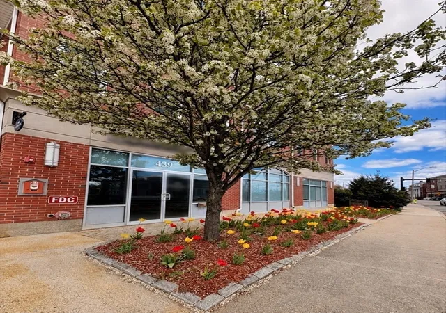 441-washington-st-203-dedham-ma-02026/hzid_d8530eae