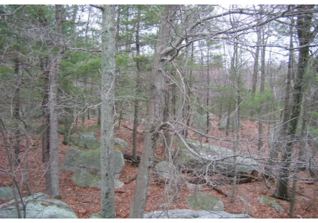5-shadowbrook-lane-32-milford-ma-01757/hzid_b5d1c26c