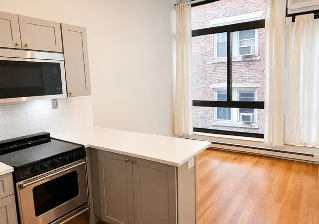 12-stoneholm-st-307-boston-ma-02115/hzid_30a4ce6f