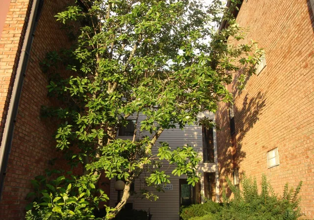 4901-chalet-dr-303-cincinnati-oh-45217/hzid_ba713be1