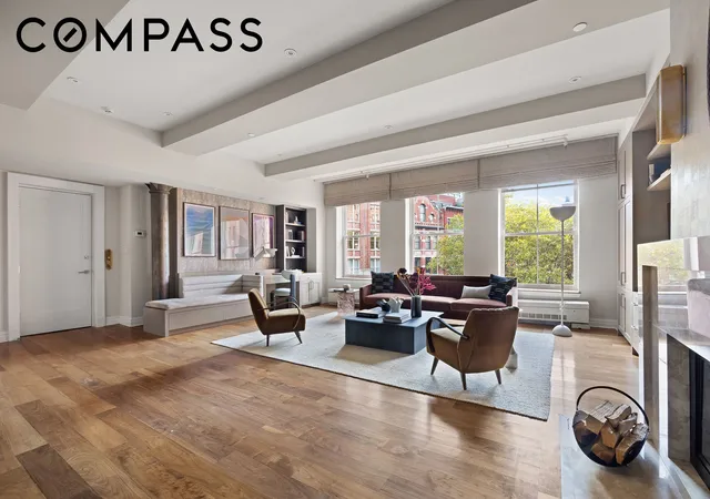 161-duane-st-4b-new-york-city-ny-10013/hzid_39d7ba60