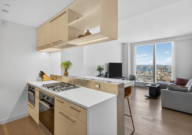 252-south-st-64g-new-york-ny-10002/hzid_9394f24c