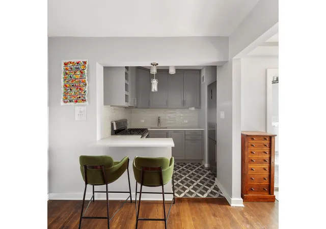 110-ocean-pkwy-3j-new-york-city-ny-11218/hzid_0e2dd5e3