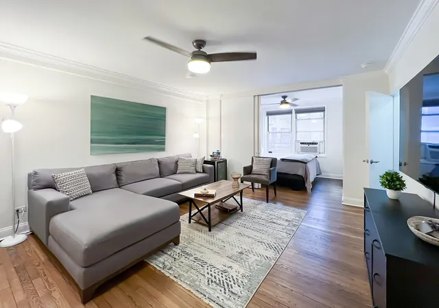 60-e-9th-street-441-new-york-city-ny-10003/hzid_b31e1906