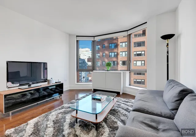 300-e-64th-street-14b-new-york-city-ny-10065/hzid_84a3302f