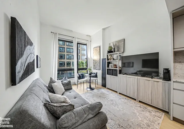 550-vanderbilt-ave-203-new-york-city-ny-11238/hzid_4b1a3bde