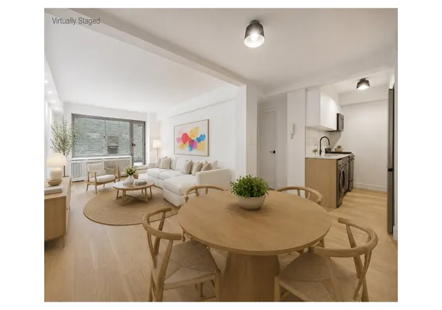 225-e-46th-street-1b-new-york-city-ny-10017/hzid_ecb3145f