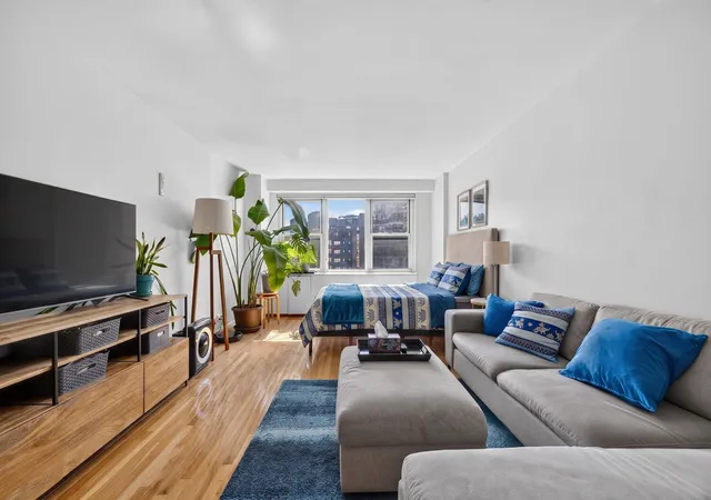 305-e-24th-st-14k-new-york-city-ny-10010/hzid_281048a7
