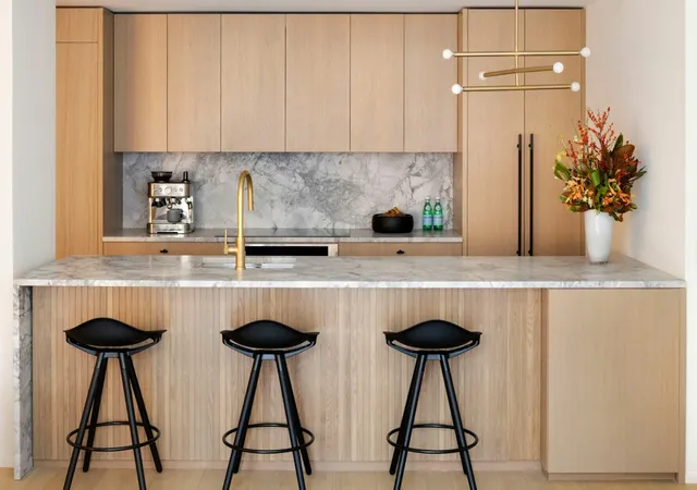 349-w-51st-street-4e-new-york-city-ny-10019/hzid_1d59121c