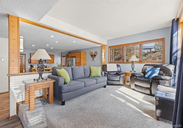 096-mountainside-dr-b26-granby-co-80446/hzid_99291a8d