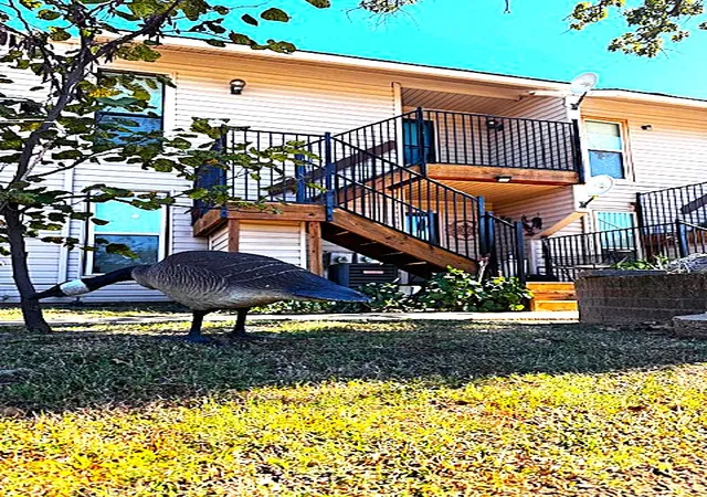 204-falconhead-f-burneyville-ok-73430/hzid_3c4c623e