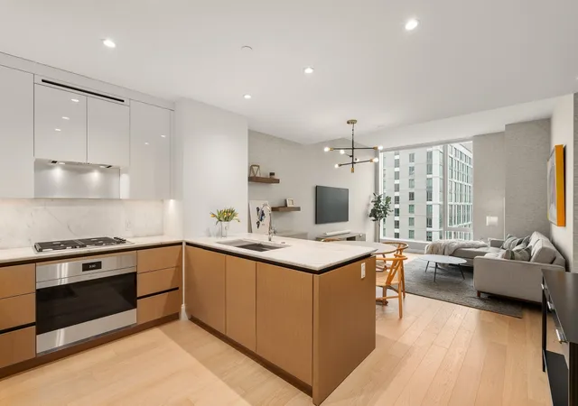 380-harrison-ave-penthouse2m-boston-ma-02118/hzid_6da93459