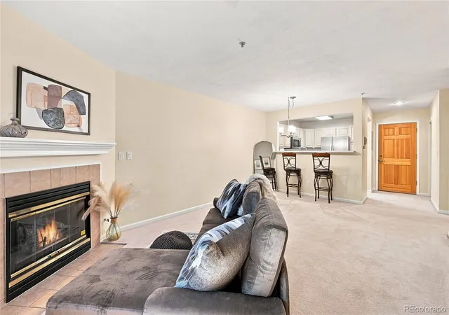 31719-rocky-village-dr-103-evergreen-co-80439/hzid_19e8c413