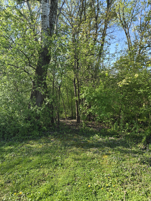 Homes for sale in Orland Park, IL | 14555 Greenland Ave, Orland Park, IL 60462 | MLS# 12387062