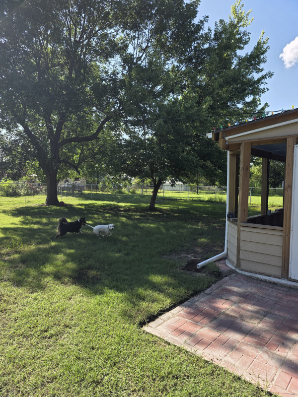 Homes for sale in Nowata, OK | 632 S Walnut St, Nowata, OK 74048 | MLS# 