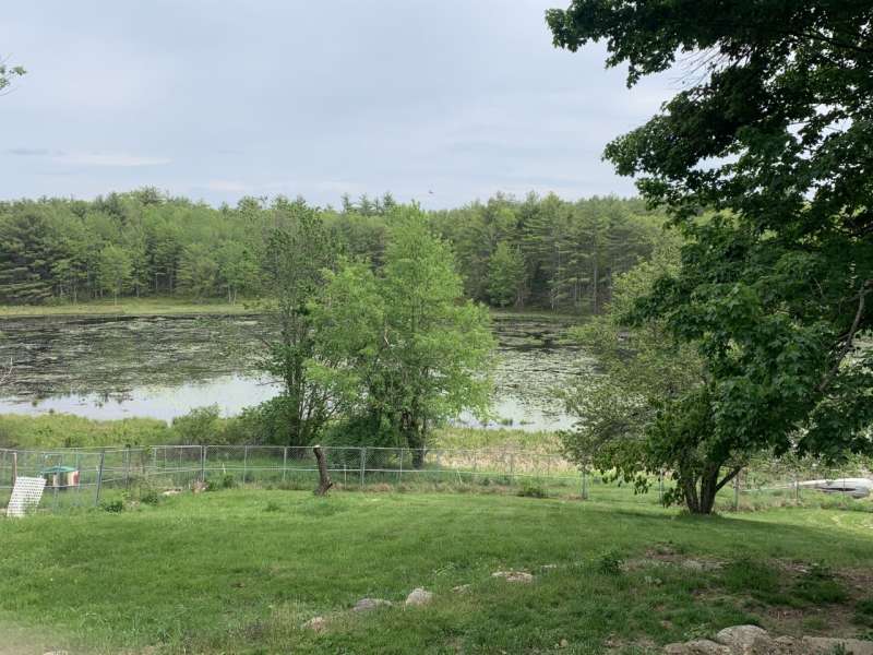 Homes for sale in Center Barnstead, NH | 1080 N Barnstead Rd, Center Barnstead, NH 03225 | MLS# 4866221
