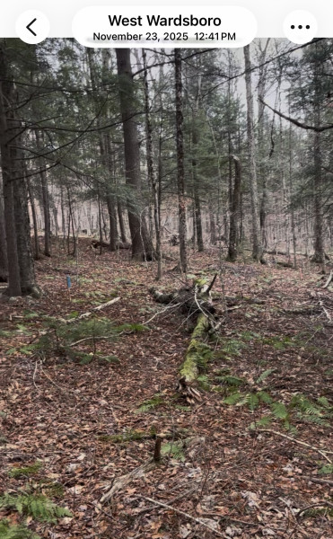 Homes for sale in Stratton, VT | 997 Stratton Arlington Rd, Stratton, VT 05360 | MLS# 5083098