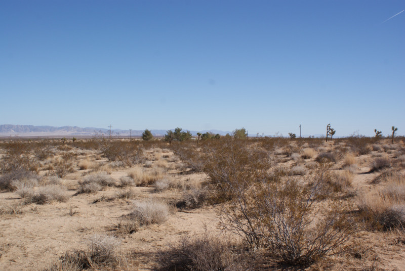 Homes for sale in Landers, CA | 426 & 428 Gerber Avenue, Landers, CA 92285 | MLS# 