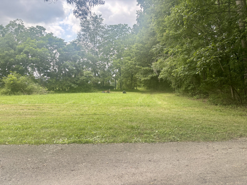 Homes for sale in Manchester, TN | 294 Haskell Winton Rd, Manchester, TN 37355 | MLS# 3260095