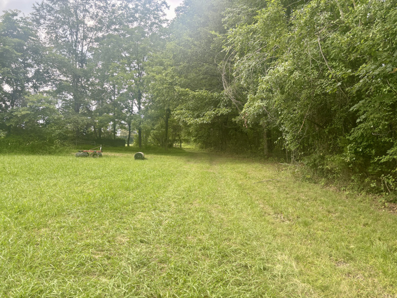 Homes for sale in Manchester, TN | 294 Haskell Winton Rd, Manchester, TN 37355 | MLS# 3260095