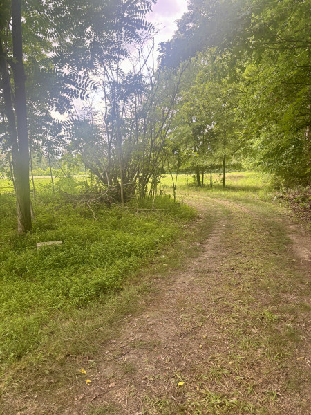 Homes for sale in Manchester, TN | 294 Haskell Winton Rd, Manchester, TN 37355 | MLS# 3260095
