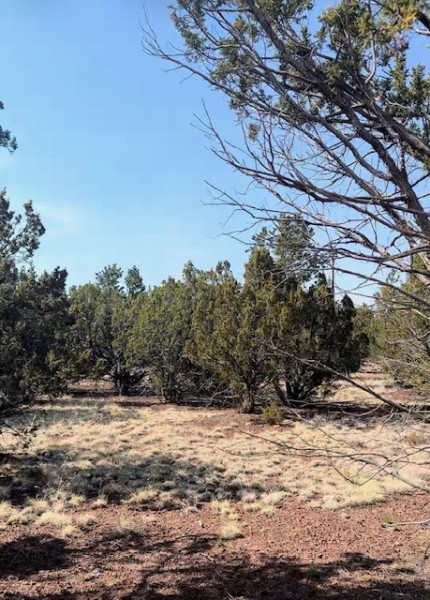 Photo 1 of House For Sale at 1462 E Barbara Rd, Williams, AZ 86046 | MLS# 206011 | Listing updated on 2026-09-14