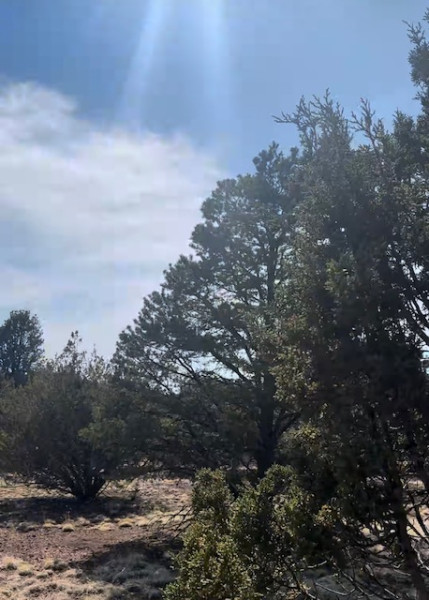 Photo 3 of House For Sale at 1462 E Barbara Rd, Williams, AZ 86046 | MLS# 206011 | Listing updated on 2026-09-14